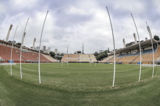 Milan Sports-体育场馆设施人性化设计对用户体验的影响分析，体育场馆市场化运营的策略有哪些