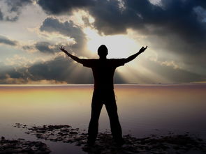 -体育明星参与自然保护活动引发共鸣，体育明星是否有利于体育发展