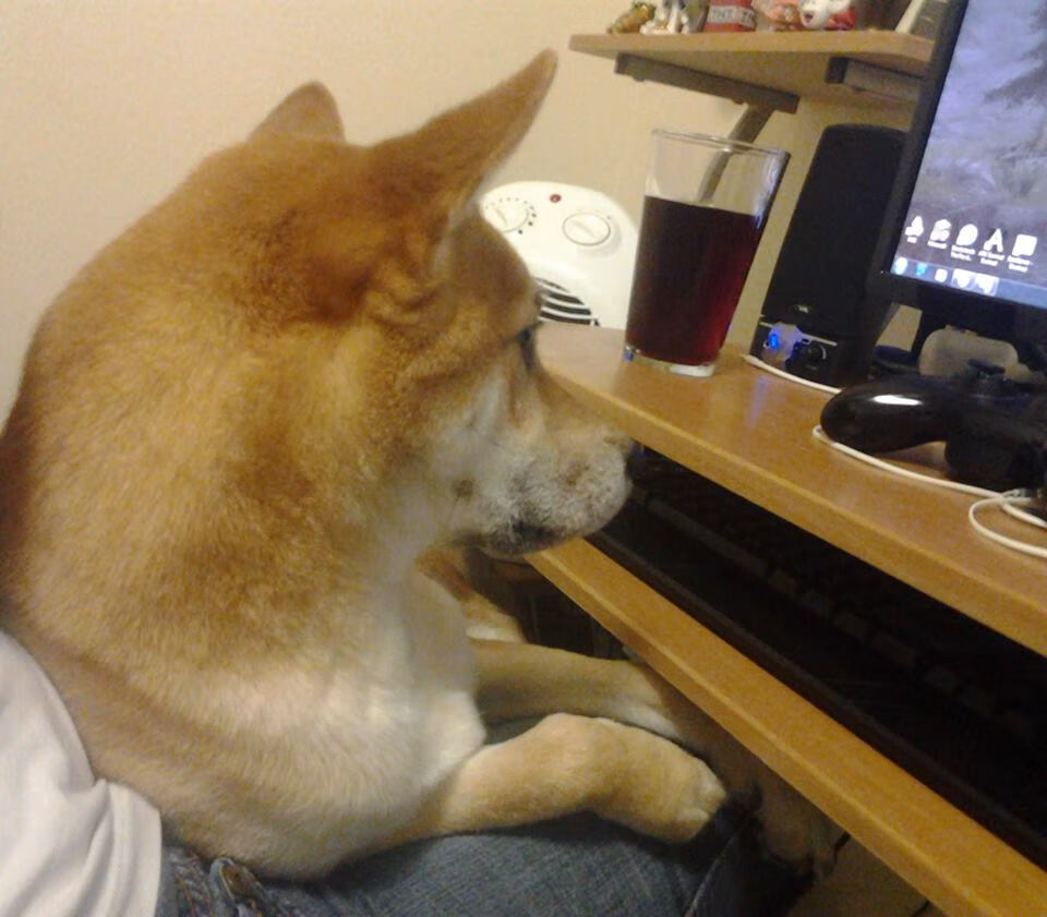 -印度乒乓队未来:增强国际交流与训练合作,拓宽发展路径,印度乒乓球厉害吗 第3张 -印度乒乓队未来:增强国际交流与训练合作,拓宽发展路径,印度乒乓球厉害吗 第3张