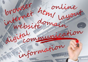 米兰体育APP-瑞典队未来：如何建立更具竞争力的国际品牌，瑞典队分析