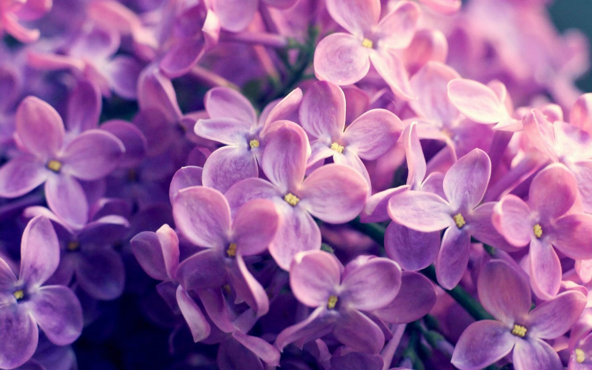 米兰体育-裁判判罚标准国际接轨提升公平性，国际比赛裁判语言