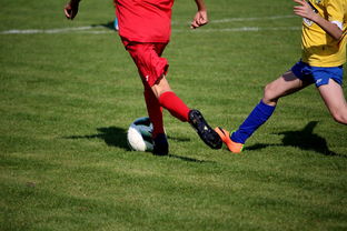 米兰登录入口-中国足球俱乐部与国际知名足球学院合作，中国足球俱乐部和国家队