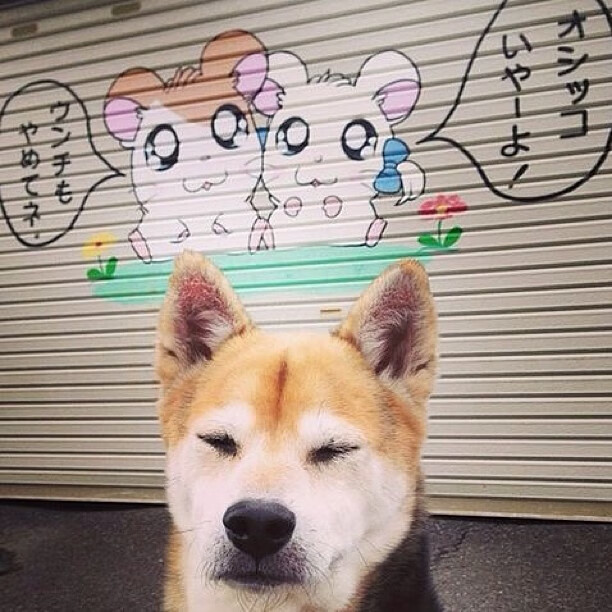 米兰体育APP-中国足球联赛球员体能训练科学规划实施，中国足球体能训练的问题