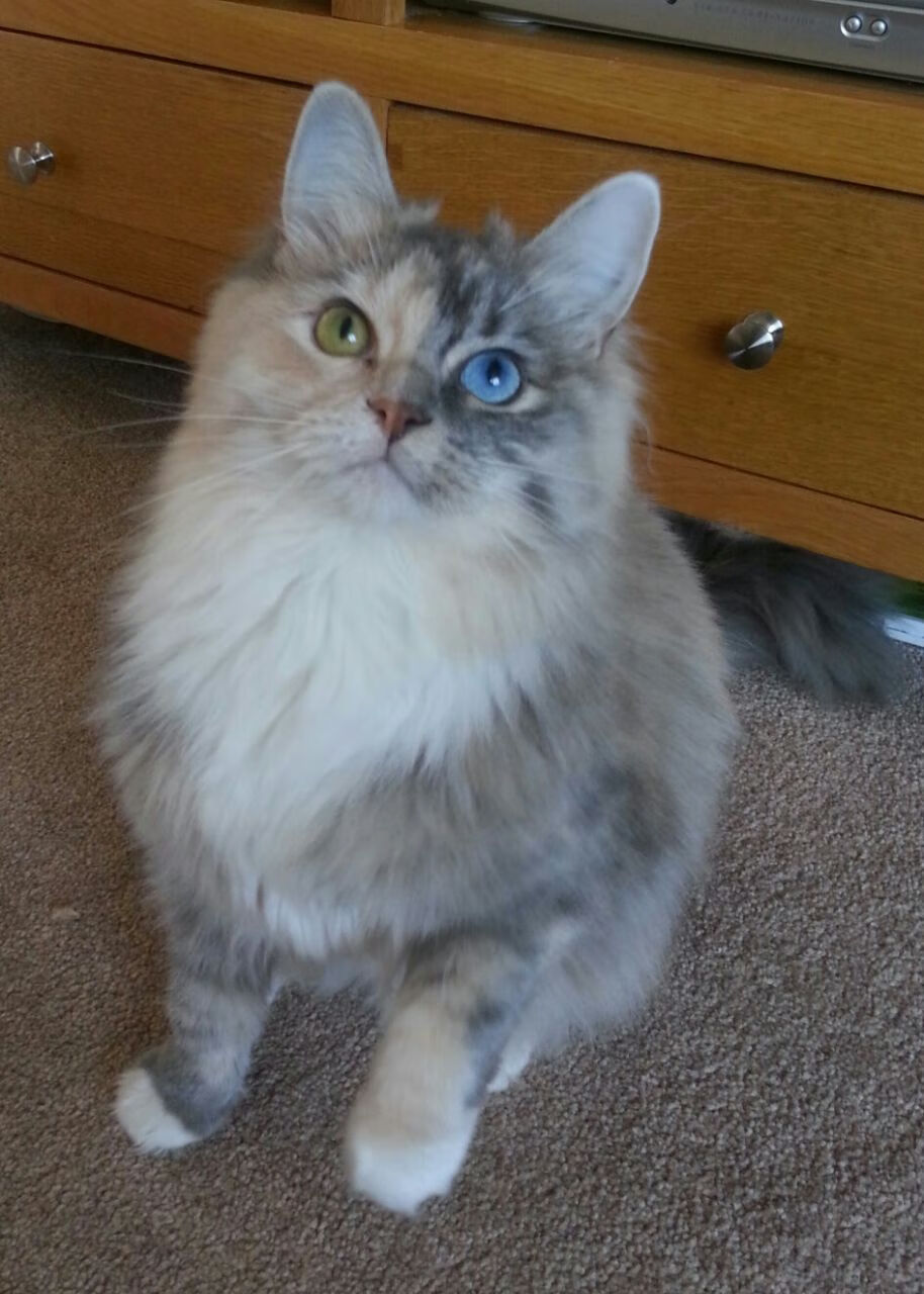 MILANSPORT入口-体育新闻中心赛场纪律观察，体育新闻赛况