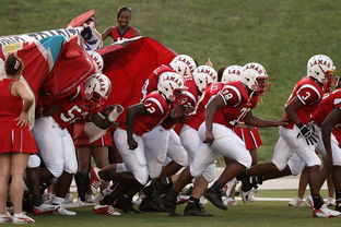 MILANSPORT入口-国际足球联盟推出新赛制,提升比赛公平性和观赏性,国际足联最新审定的足球竞赛规则