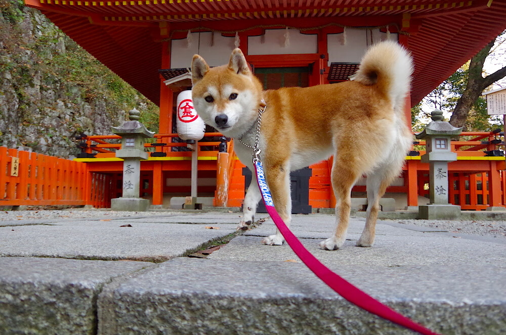 Milan Sports-沃尔什:为这块金牌准备了很久,沃尔为啥是状元