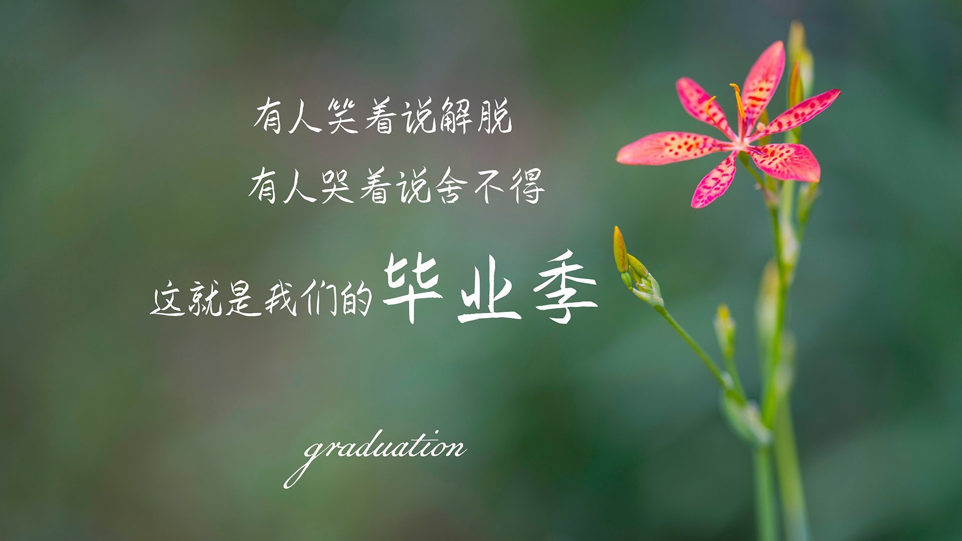 米兰体育官网-网球大满贯青少年组竞争日趋激烈，网球大满贯项目