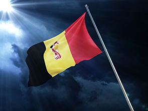 米兰体育-英超强强对决：一场精彩纷呈的足球盛宴，英超强强对话