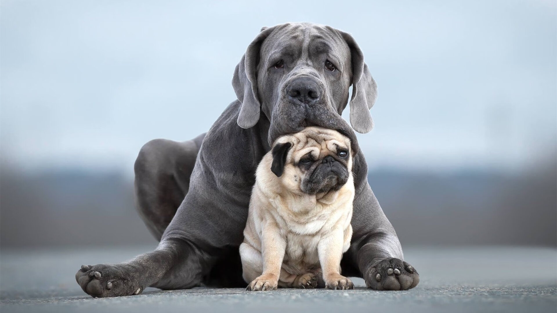 米兰体育-队内多位球员获得技术进步奖表彰其在赛季中持续提升表现,球队奖励制度